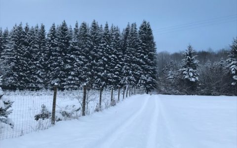 Feldweg mit Schnee